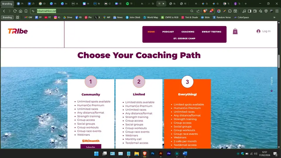 TRlbe website